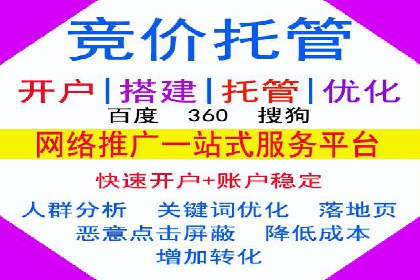 SEM搜索引擎优化：成功案例解析